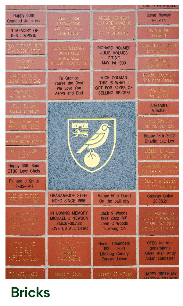 Bricks