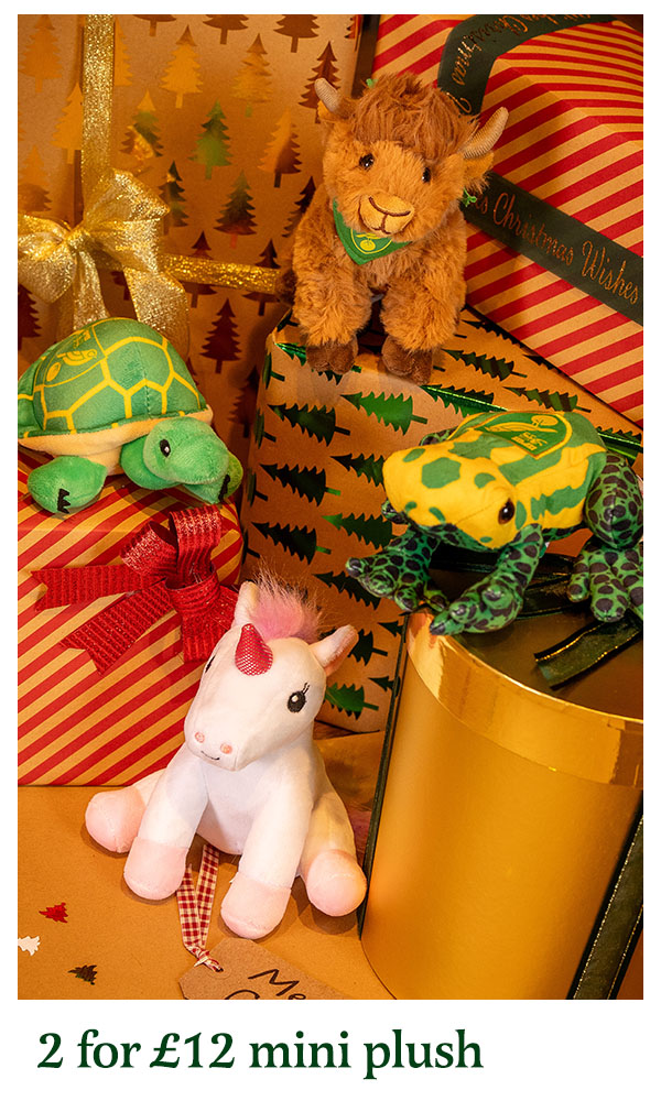 2 for £12 mini plush