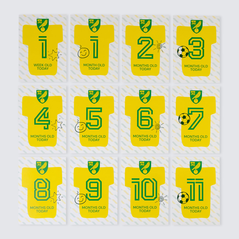 Baby Milestone Cards