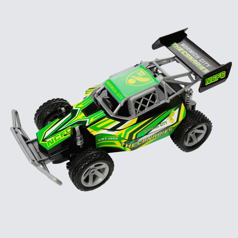Remote Control Buggy