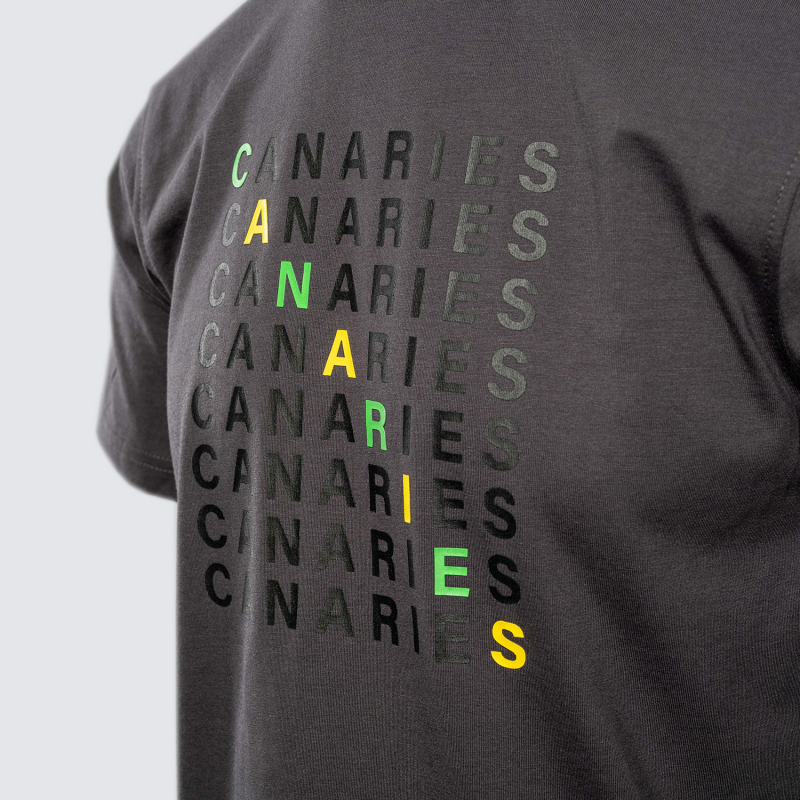 Adult Charcoal Canaries Text T-Shirt