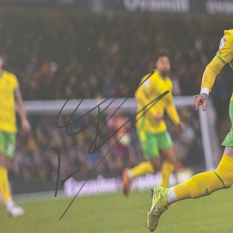 Framed Photo - Borja Sainz