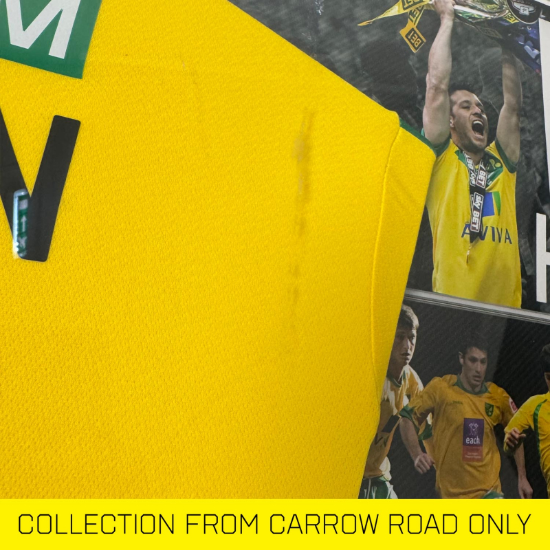 Wes Hoolahan 10 Years Celebration Framed Shirt