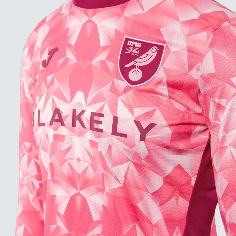2025/26 Adult Third Shirt Long Sleeve