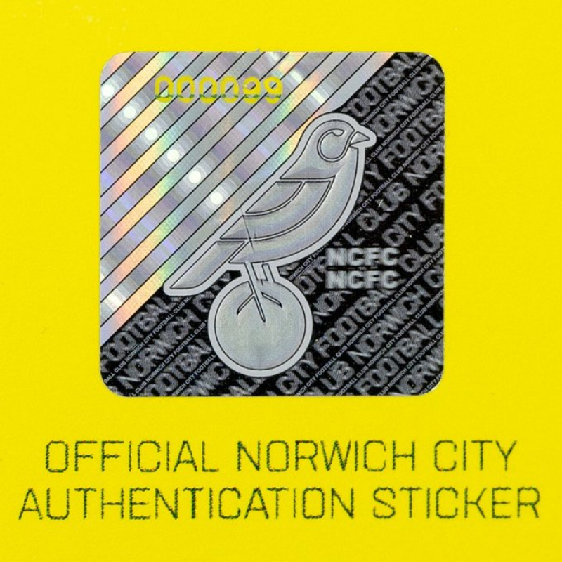 Norwich City Mystery box kit size Large