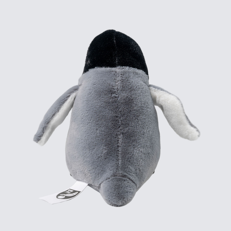 Penguin Chick