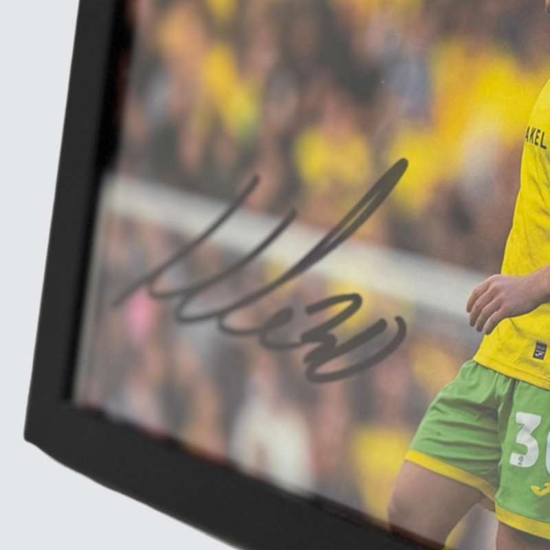 Framed Photo - Mathias Kvistgaarden