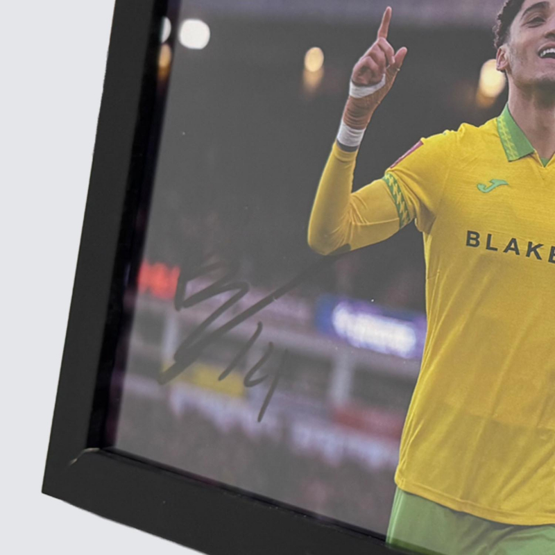 Framed Photo - Ben Chrisene