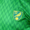 Adults Green Retro Gradient T-Shirt