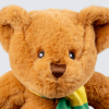 Classic Scarf Bear