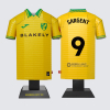 Norwich City 25/26 Alloy Shirt – Home Kit