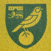 Colour Crest Outside Door Mat 