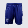 2024/25 Adult Purple GK Short