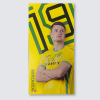 Match Used Away Board 24/25 Home - SØRENSEN