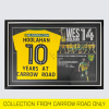 Wes Hoolahan 10 Years Celebration Framed Shirt