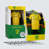 Norwich City 25/26 Alloy Shirt – Home Kit