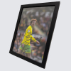 Framed Photo - Josh Sargent