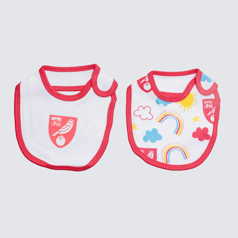 2 Pack Rainbow Bibs