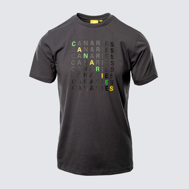 Adult Charcoal Canaries Text T-Shirt