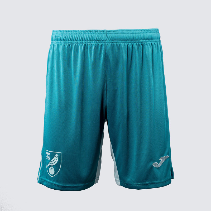 2024/25 Adult Player Training Shorts 2024/25 Adult Player Training Shorts