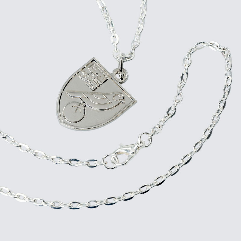 Silver Plated Crest Pendant and Chain