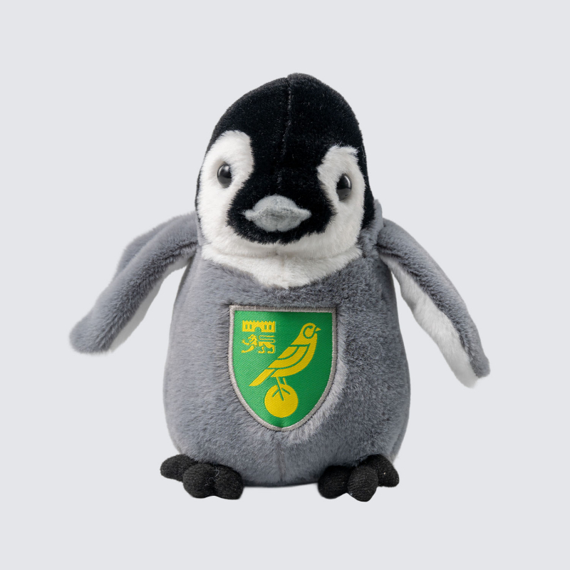 Penguin Chick Penguin Chick