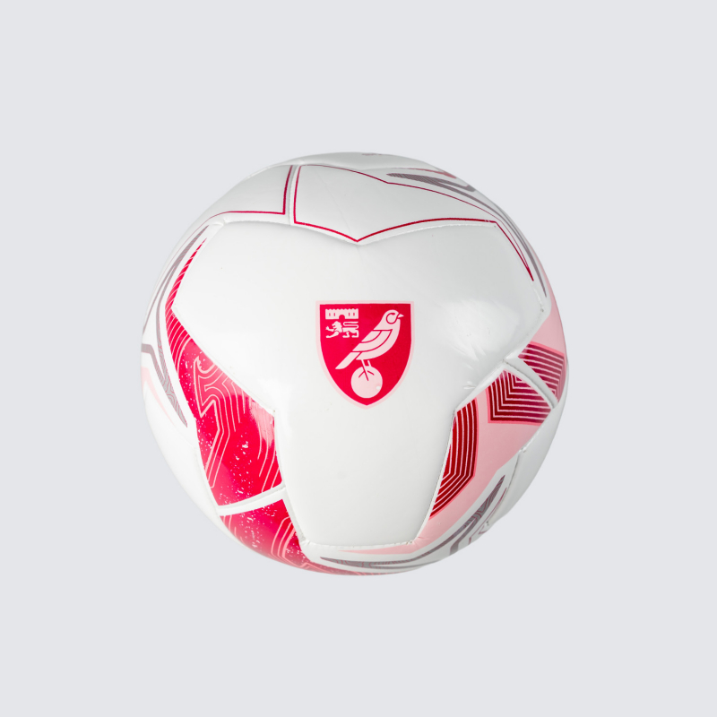 2025/26 Third Kit Football - Size 1