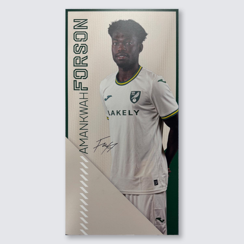 Match Used Away Board 24/25 Third - FORSON
