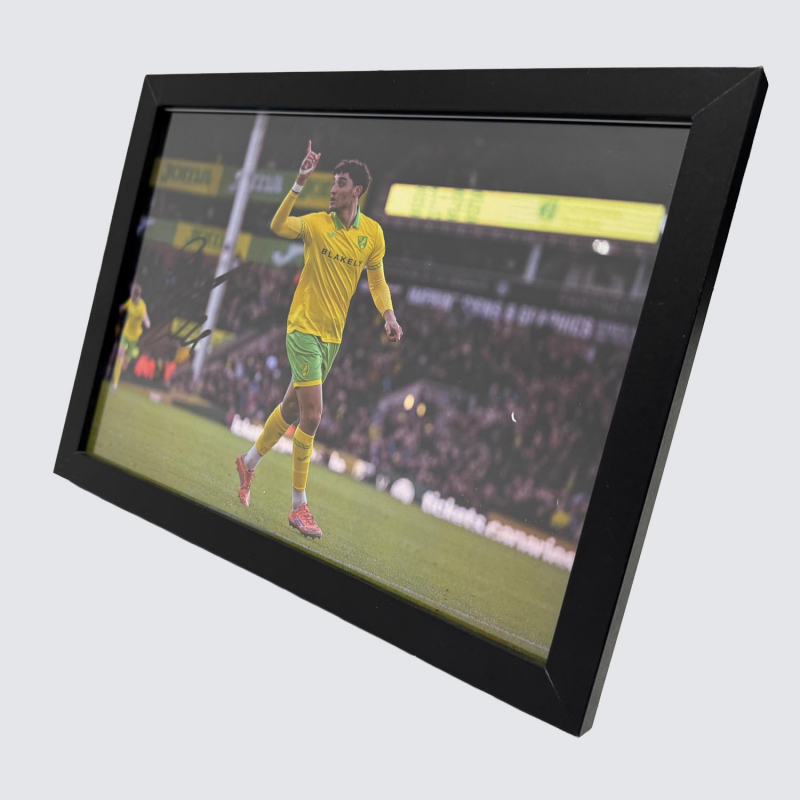 Framed Photo - Ben Chrisene