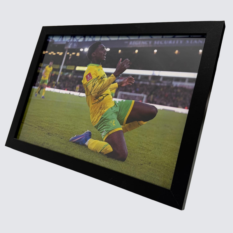 Framed Photo - Mohamed Touré