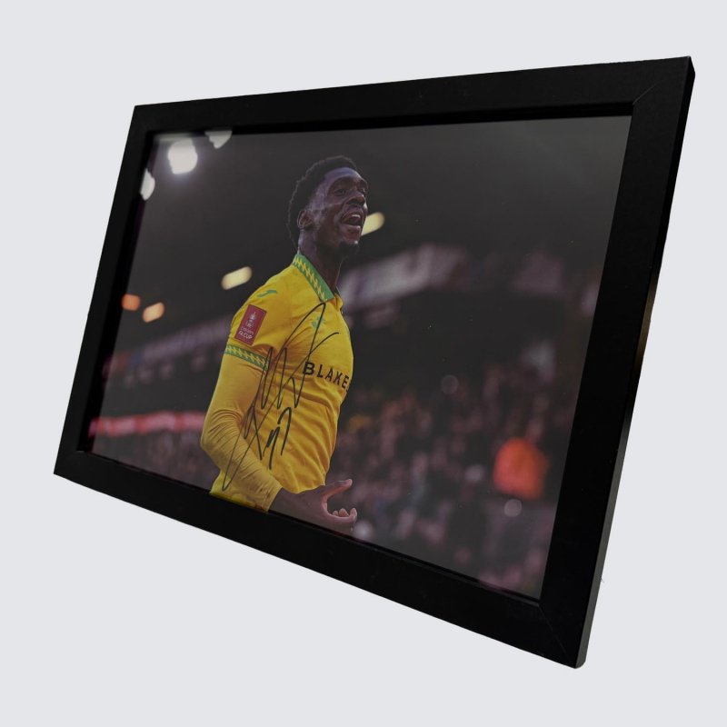 Framed Photo - Mohamed Touré